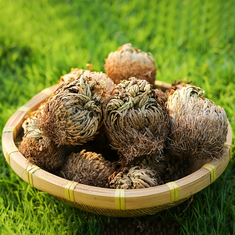 [4pcs Large Sacred Rose Jericho] 4pcs/box Rose of Jericho large size, Selaginella Lepidophylla, Dried Rose, Sacred Rose I Doradilla Plant, Dried Plants- Dried Fern Like Scale Leaf Prayer Plants for Spiritual Purification, Hom