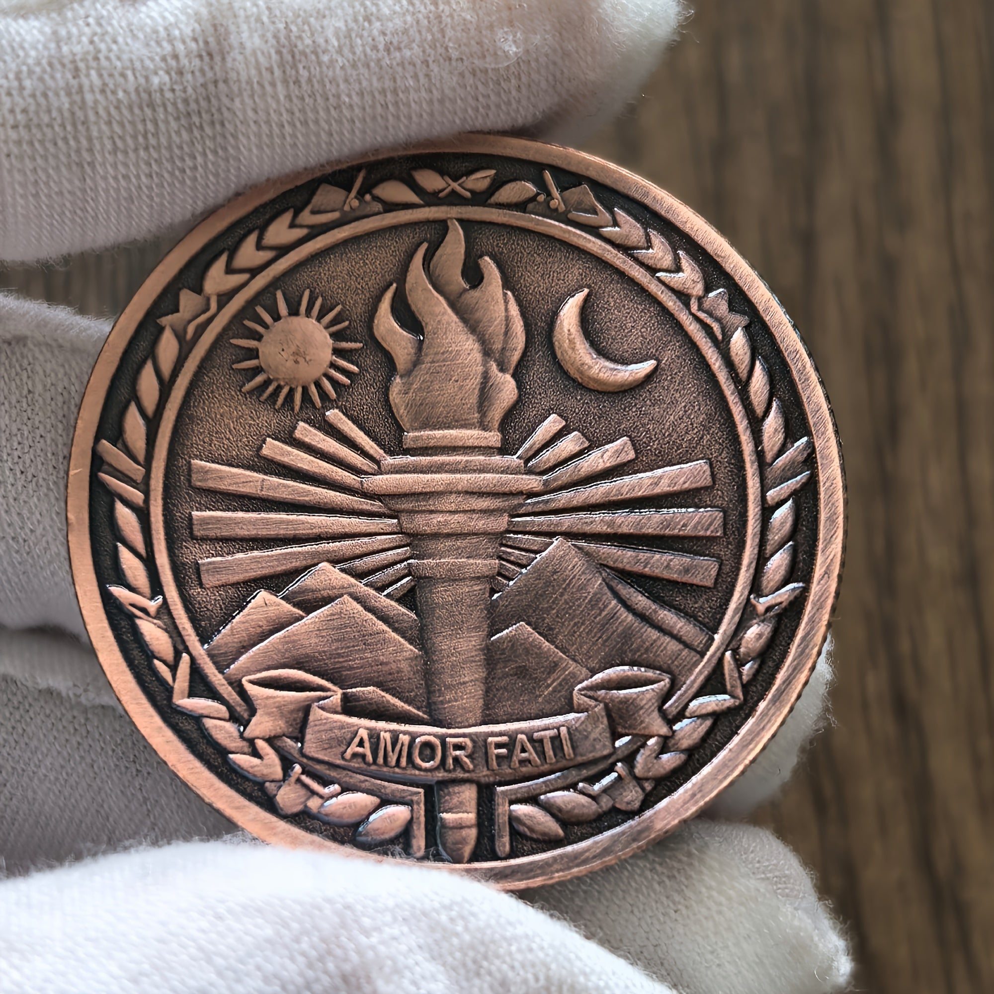 3pcs Amor Fati Resilience Emblem Challenge Coin - Stoic Philosophy-Inspired Metal Token - Motivational Daily Reminder For Stoicism Practitioners And Enthusiasts