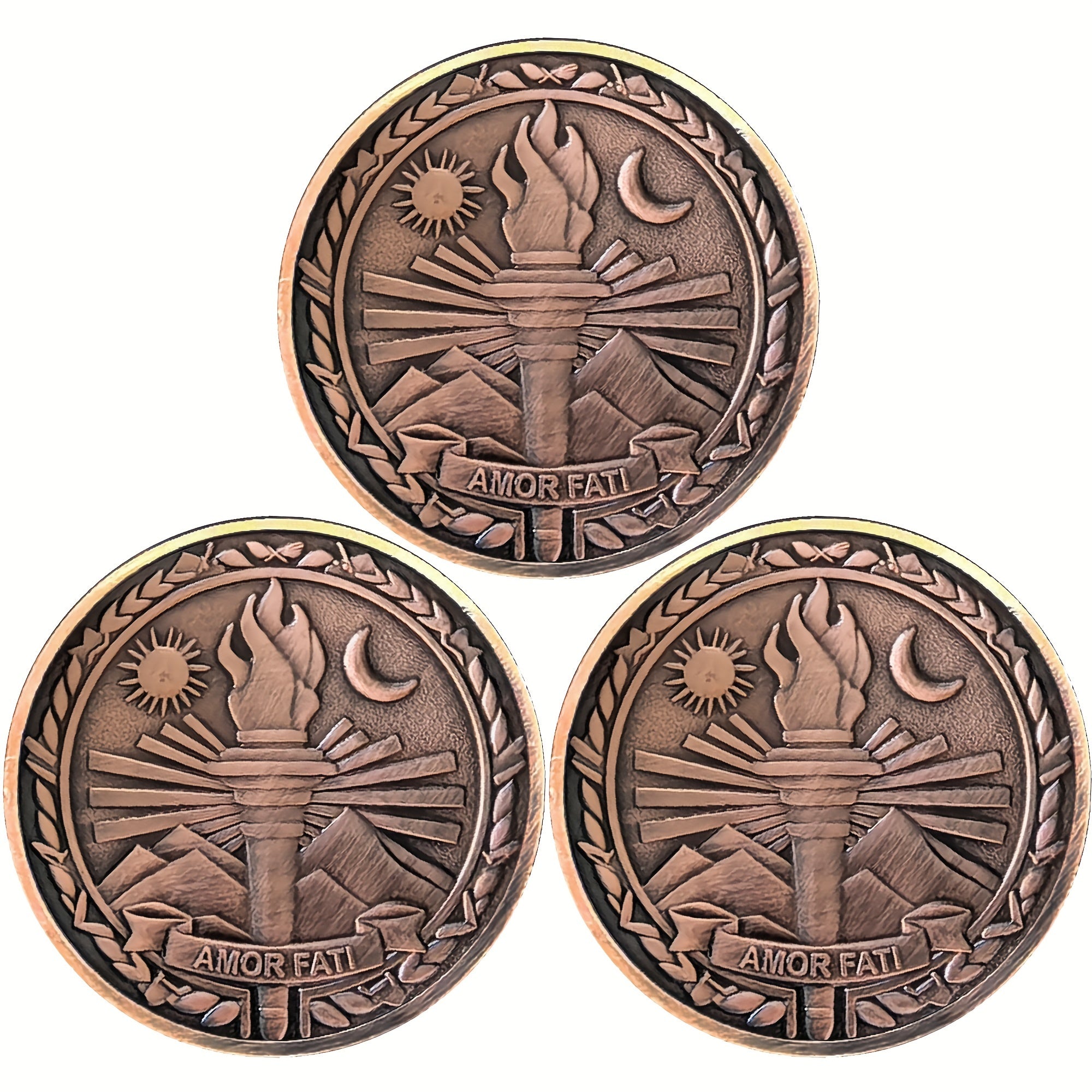 3pcs Amor Fati Resilience Emblem Challenge Coin - Stoic Philosophy-Inspired Metal Token - Motivational Daily Reminder For Stoicism Practitioners And Enthusiasts